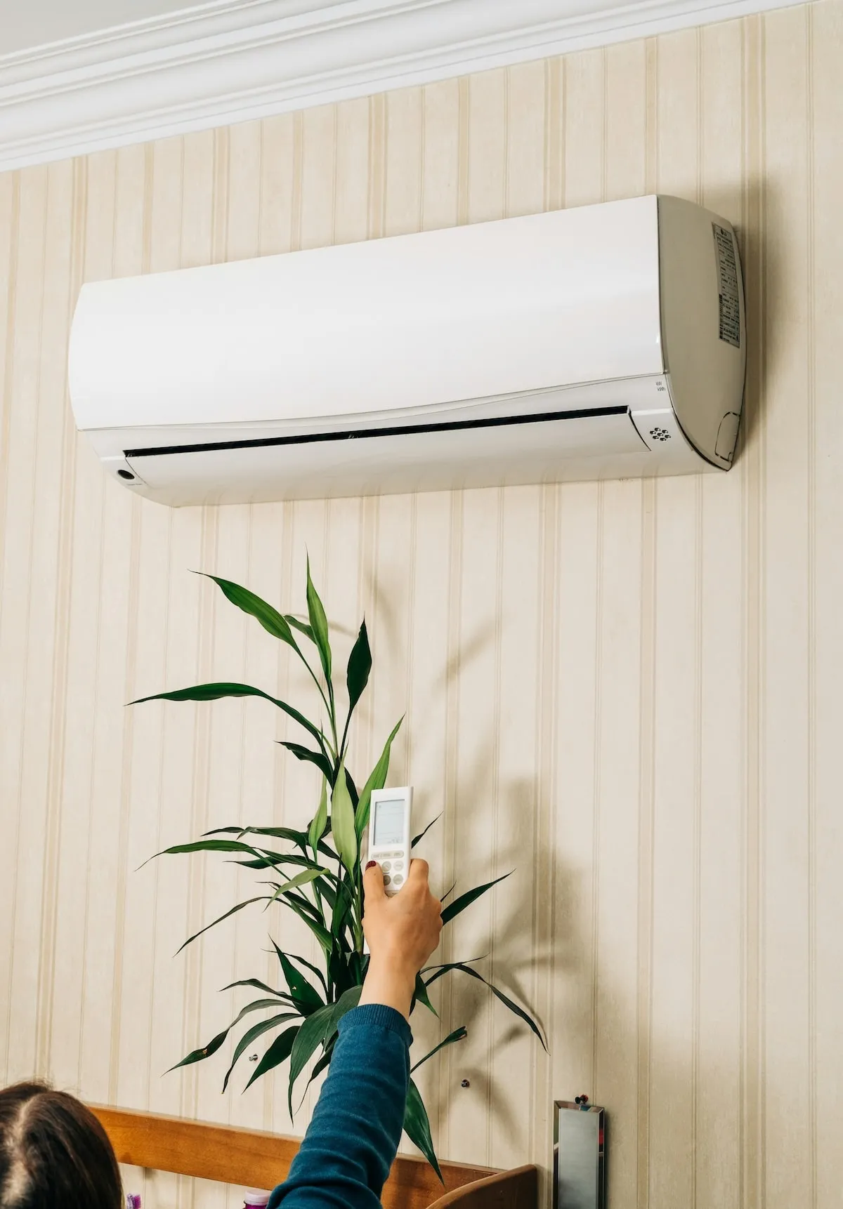Person holding a remote control pointing at a wall-mounted air conditioner above a green plant inside a room.